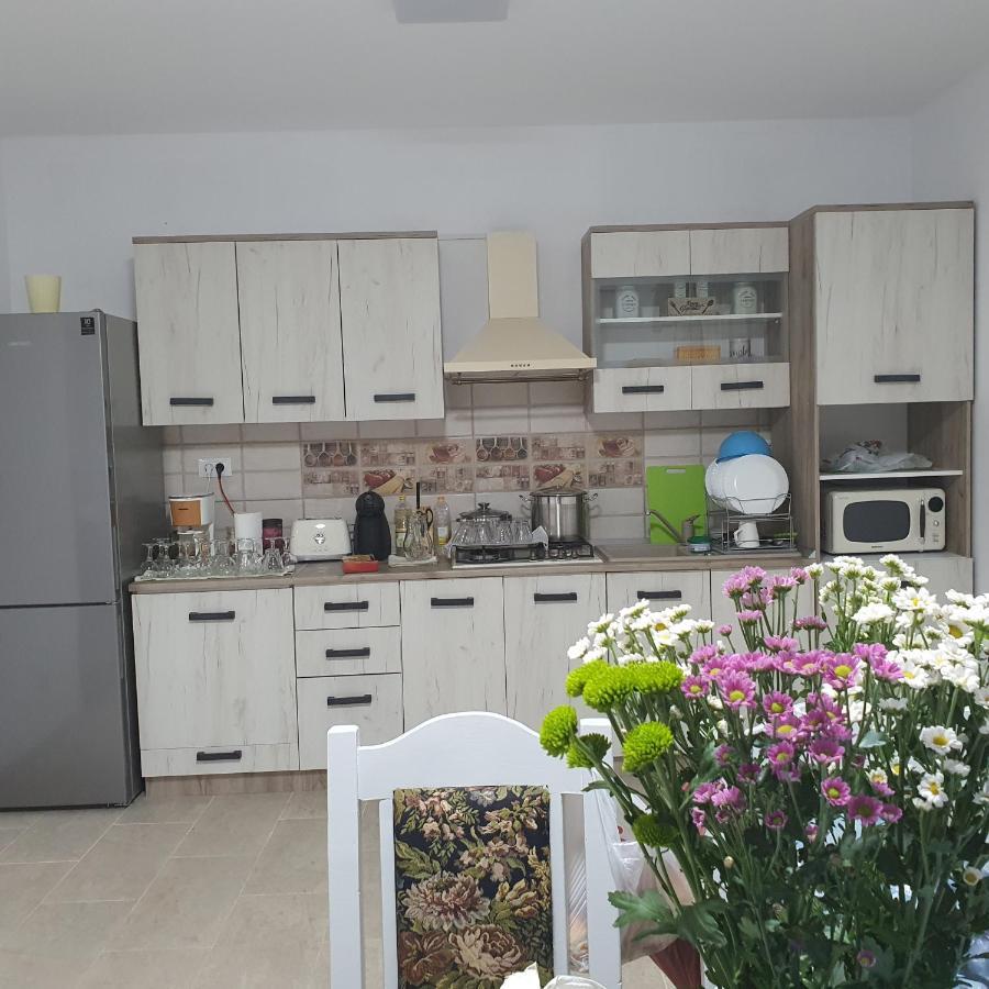 Apartamento Casa Sofia Baltatesti Exterior foto